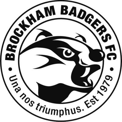 Brockham BADGERS FC white Thumbnail